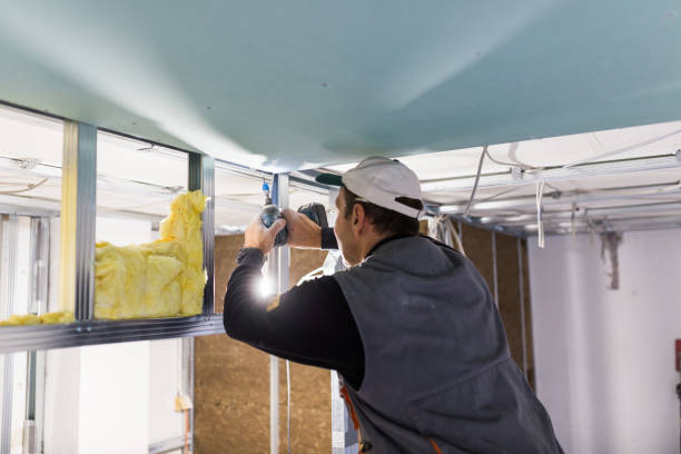Best Blown-in Insulation in Fox Lake, WI