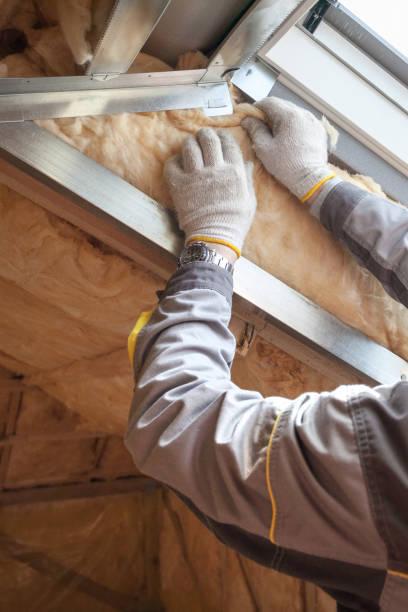 Best Geographic-Specific Insulation Services in Fox Lake, WI