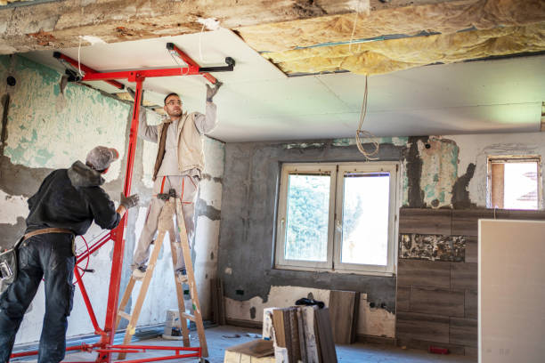 Best Eco-Friendly Insulation in Fox Lake, WI