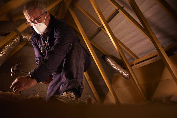 Best Specialized Insulation Services in Fox Lake, WI